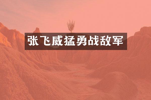 张飞威猛勇战敌军