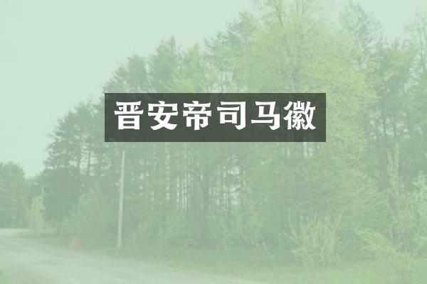 晋安帝司马徽