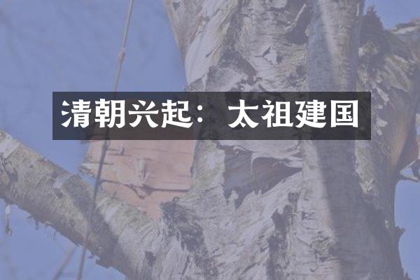 清朝兴起：太祖