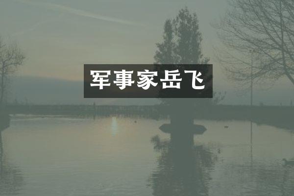 军事家岳飞