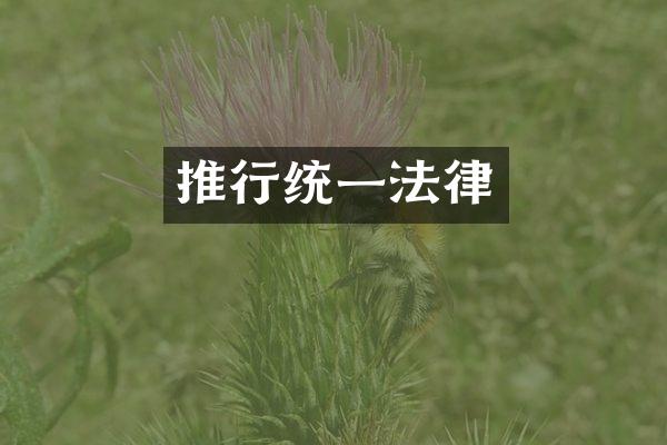 推行统一法律
