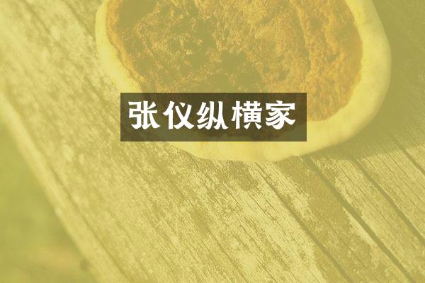 张仪纵横家
