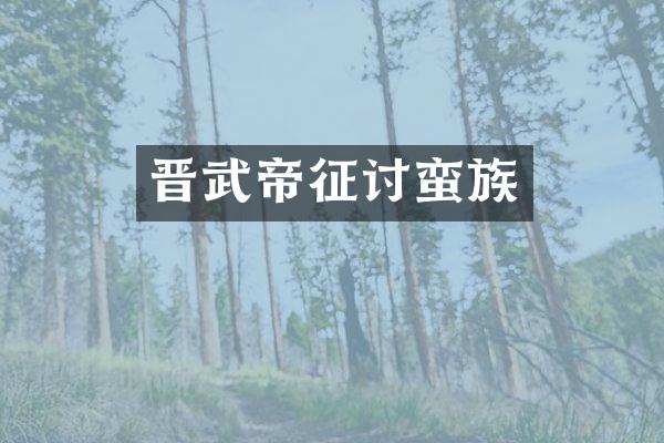 晋武帝征讨蛮族