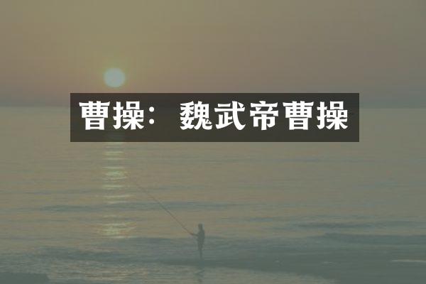 曹操：魏武帝曹操