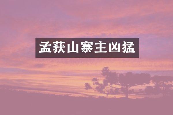 孟获山寨主凶猛