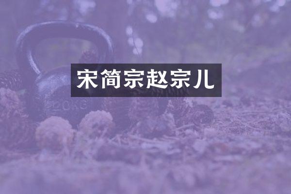 宋简宗赵宗儿