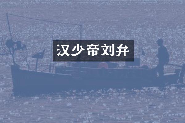 汉少帝刘弁