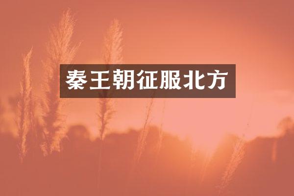 秦王朝征服北方