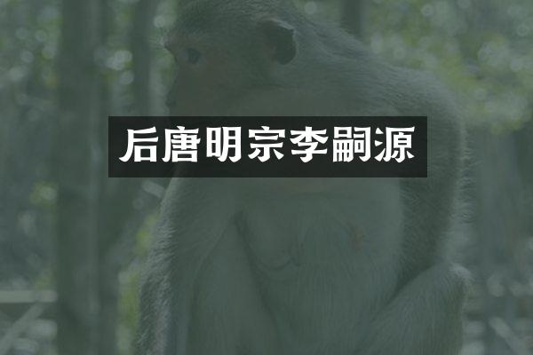 后唐明宗李嗣源