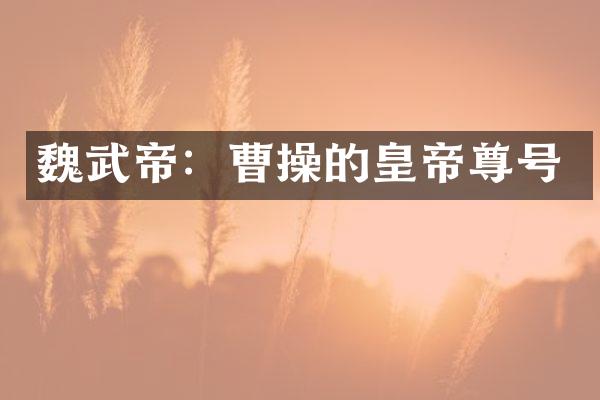魏武帝：曹操的皇帝尊号