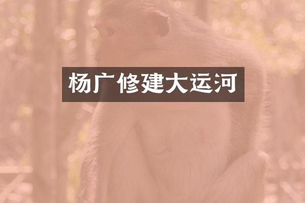 杨广修建大运河