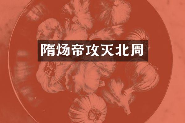 隋炀帝攻灭北周