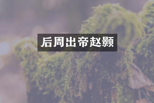 后周出帝赵颢