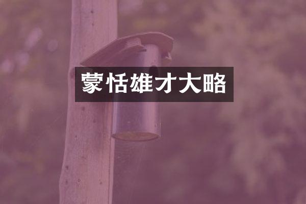 蒙恬雄才大略