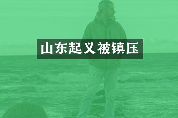 山东起义被镇压