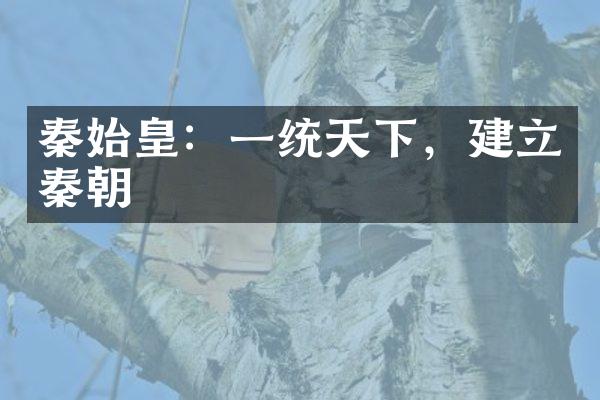 秦始皇：一统天下，建立秦朝