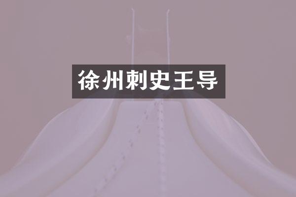 徐州刺史王导