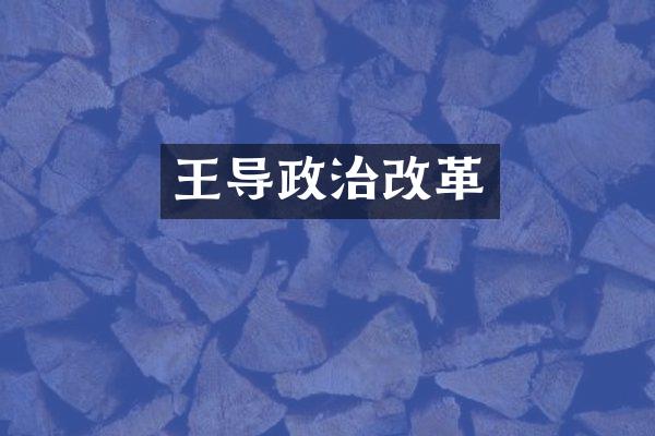 王导政治改革