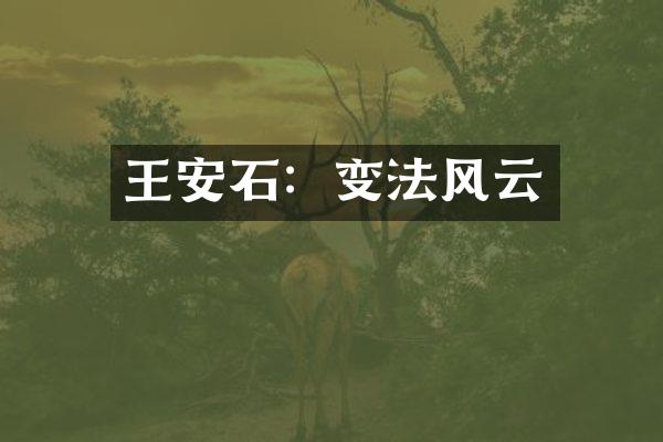 王安石：变法风云