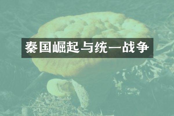秦国崛起与统一战争