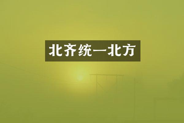 北齐统一北方