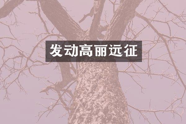 发动高丽远征