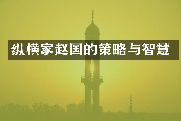 纵横家赵国的策略与智慧
