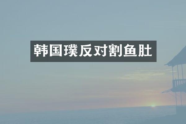 韩国璞反对割鱼肚