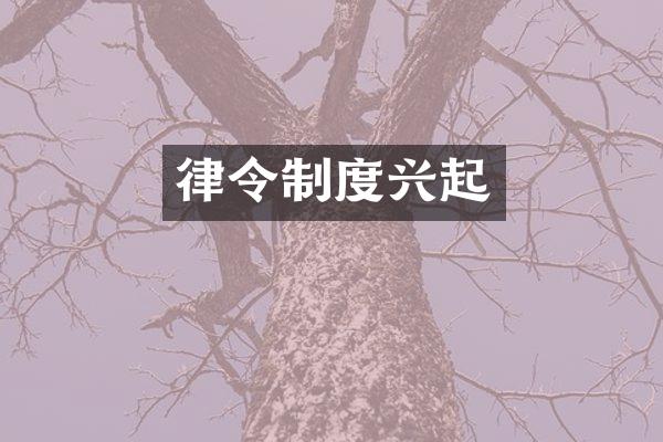 律令制度兴起