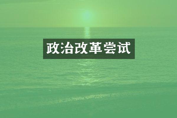 政治改革尝试