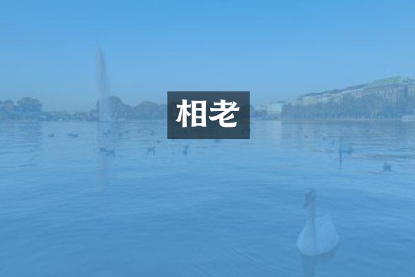 相老