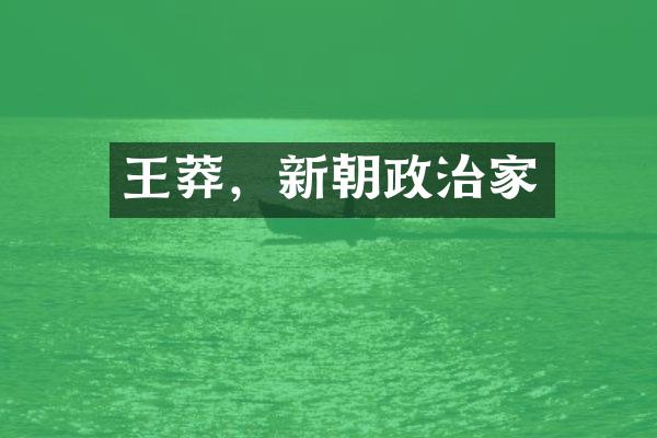 王莽，新朝政治家