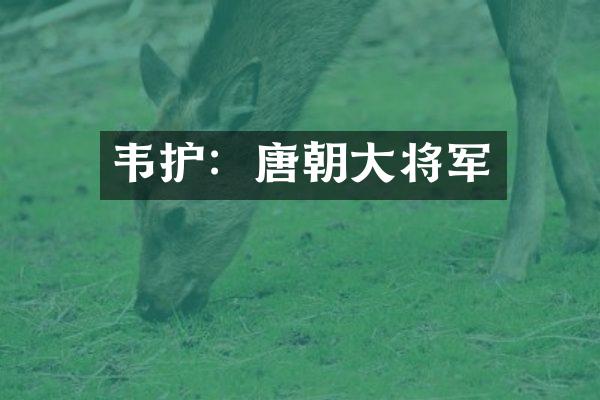 韦护：唐朝大将军