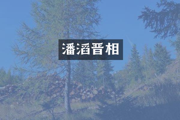 潘滔晋相