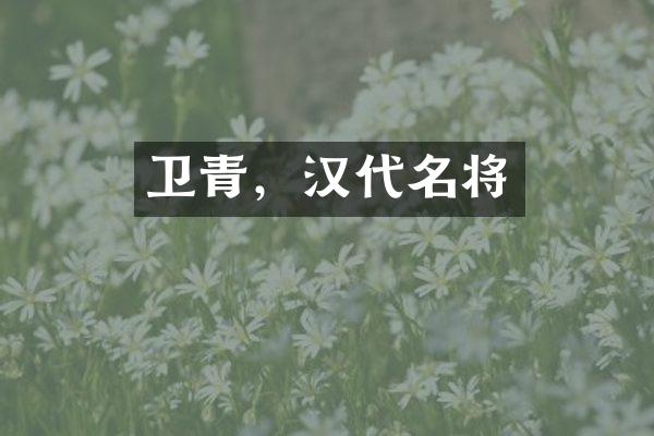 卫青，汉代名将