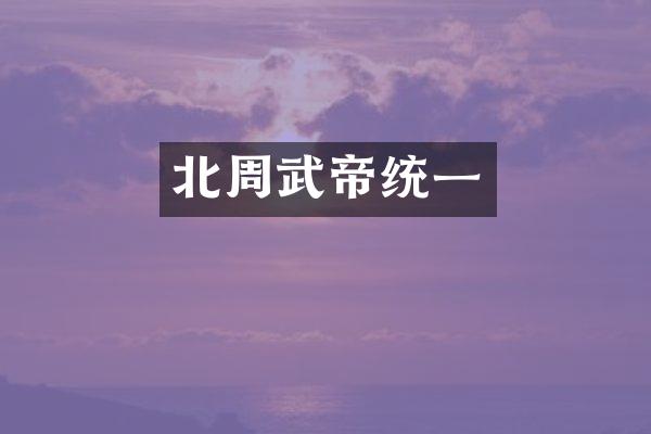 北周武帝统一