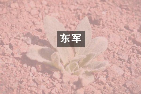 东军