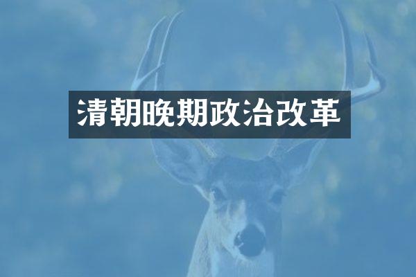 清朝晚期政治改革