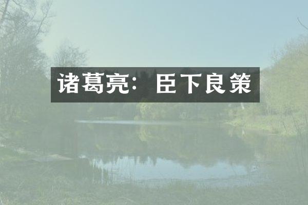 诸葛亮：臣下良策