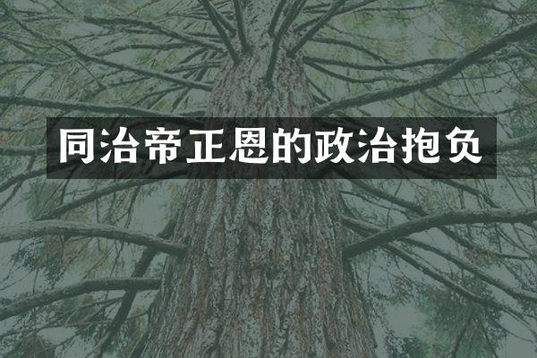 同治帝的政治抱负