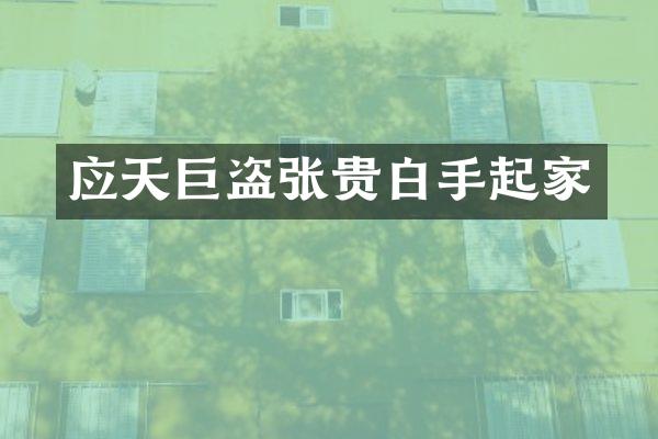 应天巨盗张贵白手起家
