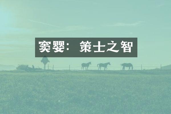 窦婴：策士之智