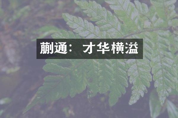蒯通：才华横溢