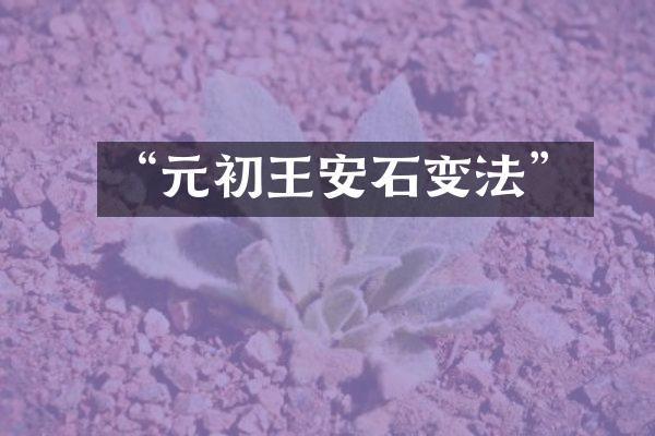 “元初王安石变法”