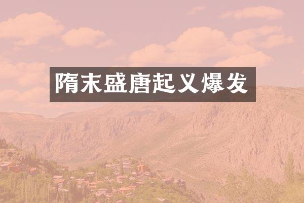 隋末盛唐起义爆发