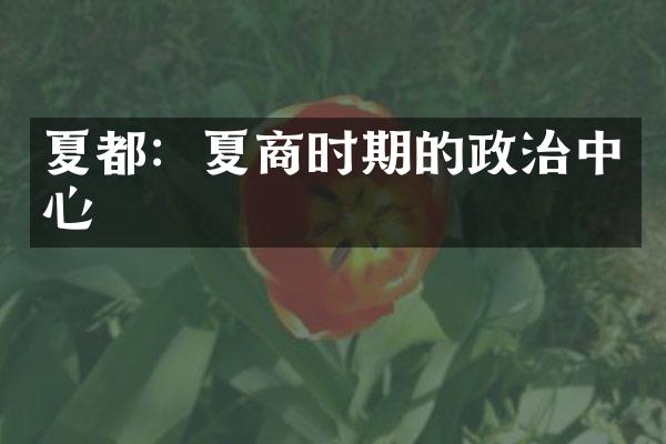 夏都：夏商时期的政治中心