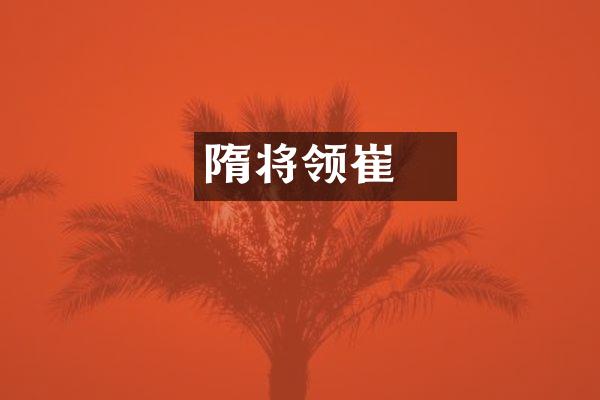 隋将领崔骃