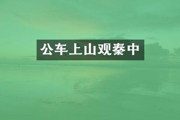 公车上山观秦中