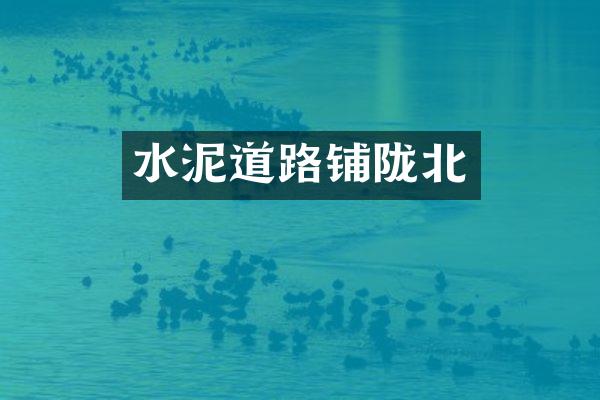 水泥道路铺陇北