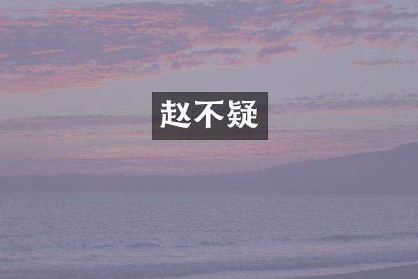 赵不疑